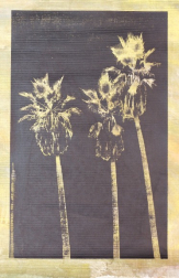 Marco Pittori: Canvas Palm Tree