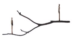Jennyfer Stratman: Graft E10 image 1
