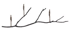 Jennyfer Stratman: Graft EH8 image 1