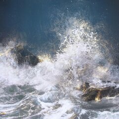 Steven Nederveen: Heart & Soul Opens No.3 image 1