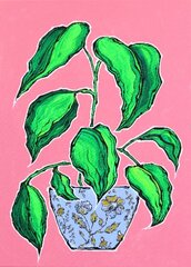 Jonjo Elliott: Plante Verde image 1