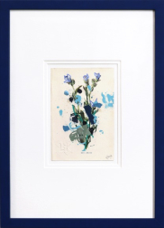Lee Herring: Small Bugloss