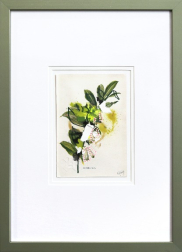 Lee Herring: Solomon's Seal