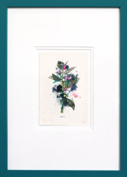 Lee Herring: Alkanet