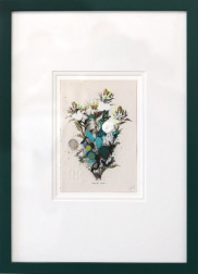 Lee Herring: Carline Thistle