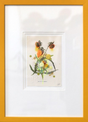 Lee Herring: Nodding Bur Marigold