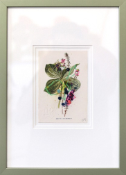Lee Herring: Herb Paris and Crowberry