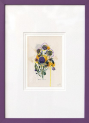 Lee Herring: Devil's Bit Scabious