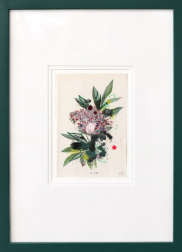 Lee Herring: Danewort