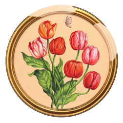 Carlos Gamez de Francisco: In The Blooming Season I