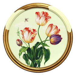 Carlos Gamez de Francisco: Bee and Tulips