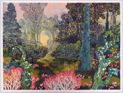 Max Naylor: Arboretum