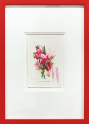 Lee Herring: Narrow-Leaved Everlasting Pea