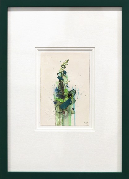 Lee Herring: Wall Pennywort image 1