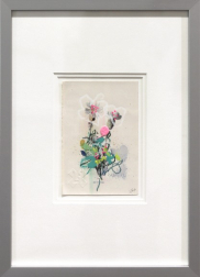 Lee Herring: Sea Campion
