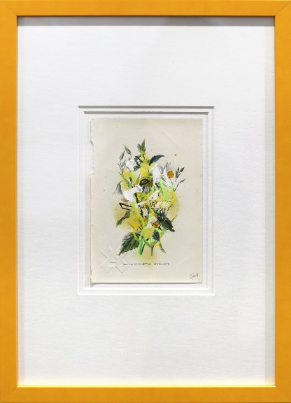 Lee Herring: Yellow Dead-Nettle, Stitchwort image 1