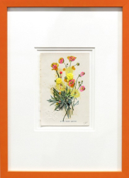 Lee Herring: Upright Meadow Crowfoot