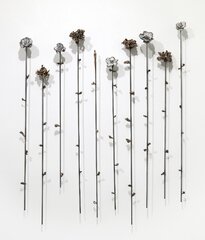 Jennyfer Stratman: Jardin De Fleur 17 image 1