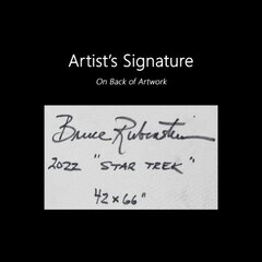 Bruce Rubenstein: Star Trek image 10