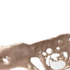 Jennyfer Stratman: Hybrid 15 image 2