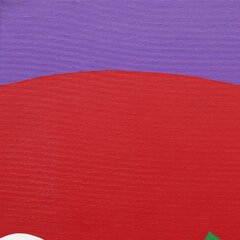 Federico Pinto Schmid: Vulcano image 2