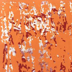Marco Schmidli: A322 image 2