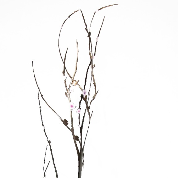 D'Arcy Bellamy: Spring Blossoms image 2