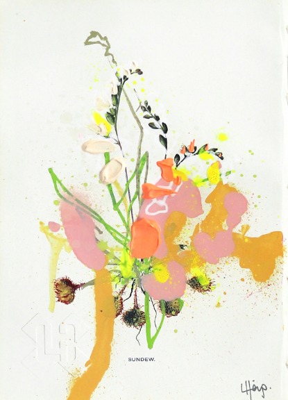Lee Herring: Botanical Sketch 1 image 2