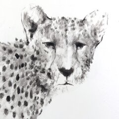 Alessandro Casetti: Woman with Cheetah image 2