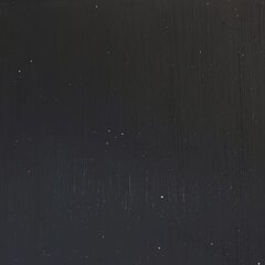 Steven Nederveen: The Depth of Night image 2