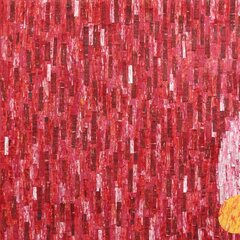 Amadou Opa Bathily: Hope on the Other Side of the Wall image 2