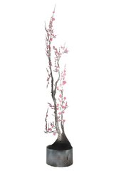 D'Arcy Bellamy: Winter Blossoms image 2