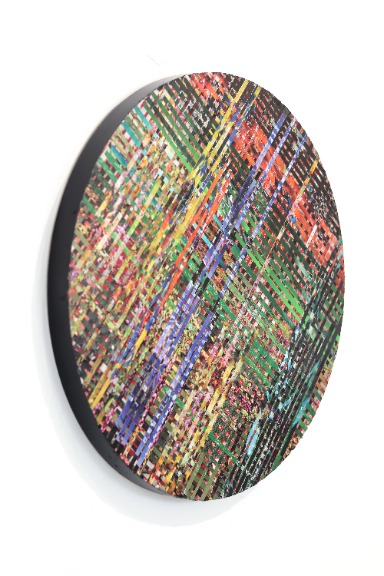 Ashleigh Sumner: Birds of Paradise Lost image 2