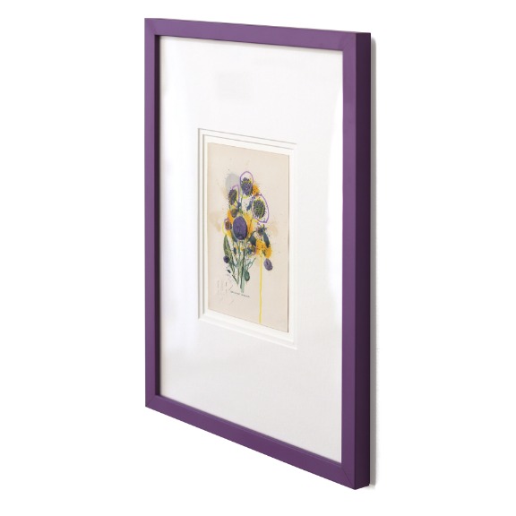 Lee Herring: Devil's Bit Scabious image 2