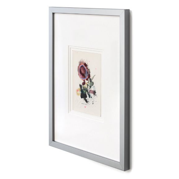 Lee Herring: Nodding Thistle image 2