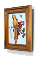 Carlos Gamez de Francisco: New World Parrots image 2