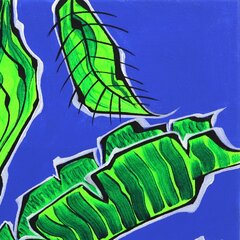 Jonjo Elliott: Endless Summer image 3