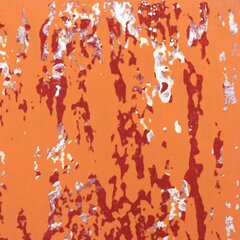 Marco Schmidli: A322 image 3