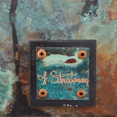 Jennyfer Stratman: Growing in a Fragmented Landscape image 3