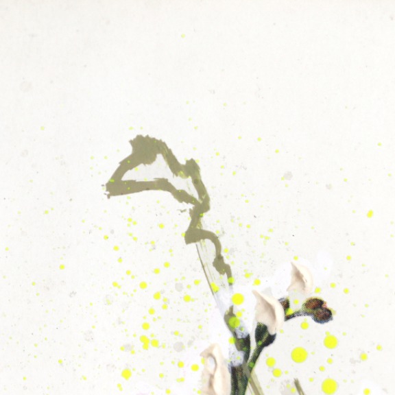 Lee Herring: Botanical Sketch 1 image 3
