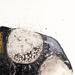 Alessandro Casetti: The Branches of Memory image 3