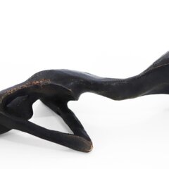Nando Kallweit: Iris (3/25) image 3