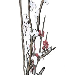 D'Arcy Bellamy: Winter Blossoms image 3