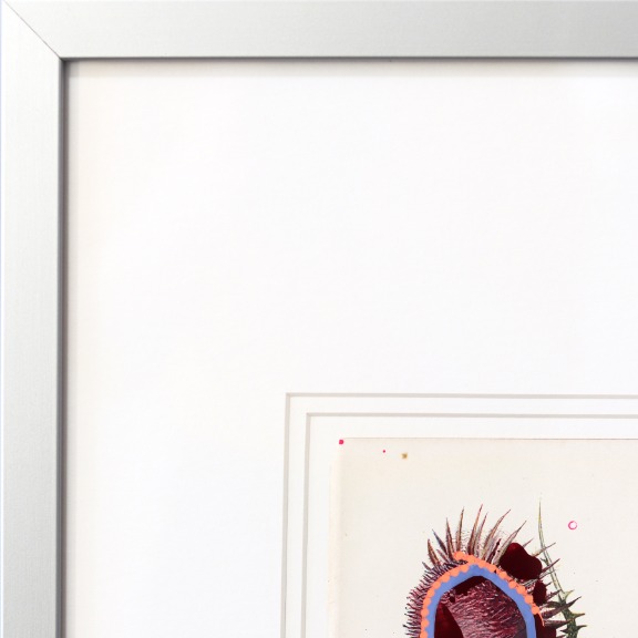 Lee Herring: Nodding Thistle image 3