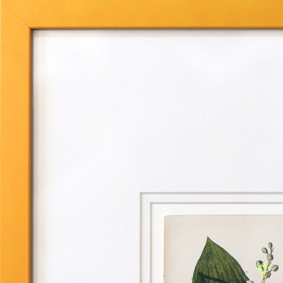 Lee Herring: Lily of the Valley image 3