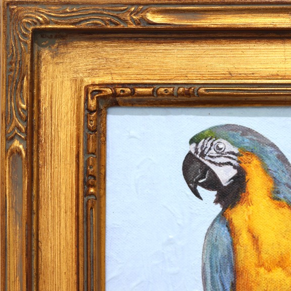 Carlos Gamez de Francisco: New World Parrots image 3