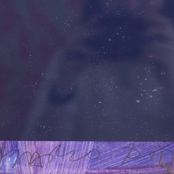 Marco Pittori: Purple and Yellow Palms image 4