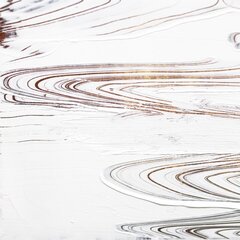 Steven Nederveen: Dive Into Summer image 4