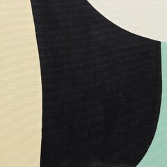 Federico Pinto Schmid: Vulcano image 4