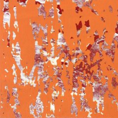 Marco Schmidli: A322 image 4